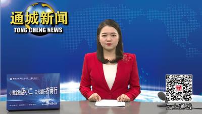省交通运输厅来通城调研通修高速项目 