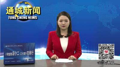 通城安排部署疫情防控、安全生产、森林防火、信访维稳工作 