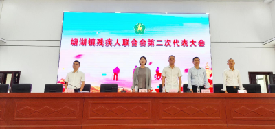 塘湖镇残疾人联合会完成第二次换届选举工作
