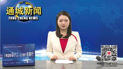 省文旅厅党组书记、厅长李述永来通城调研文化旅游工作