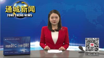 谭海华来通城督导信访维稳工作