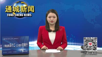谭海华来通城调研