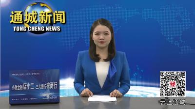 通城县十五届县委常委会第31次会议召开 
