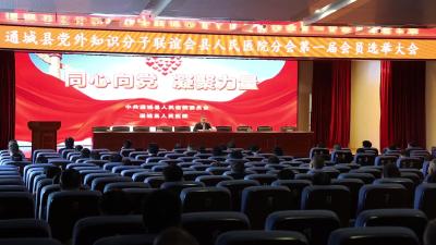 通城县党外分子联谊会县人民医院分会第一届会员选举大会召开