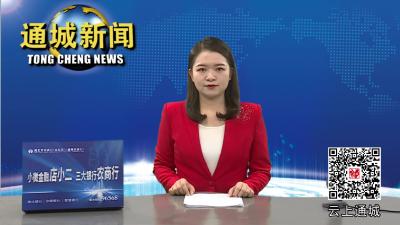 通城县人民检察院对一起盗窃案件召开拟不起诉公开听证会 