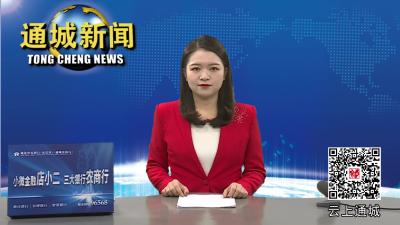 2022年第17次通城县政府常务会召开