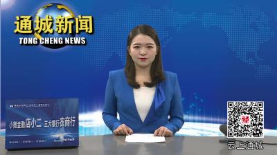 通城县部署经济重点工作