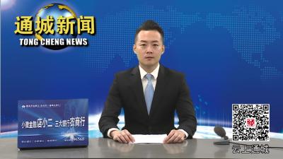 一起淘宝去！通城举办首届古玩收藏品交流会 