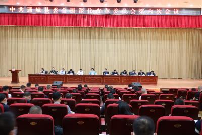 通城县召开全面深化改革委员会第六次会议