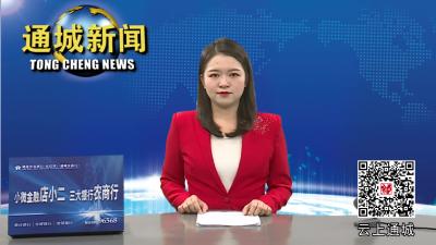 【献礼党的二十大】通城：乡村旅游有活力 乡村振兴添动力 