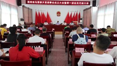马港镇成立乡贤理事会