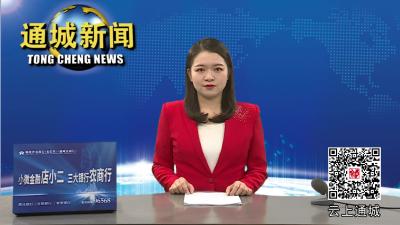 通城县领导督导花墩村、农林村迎省考暨挂牌督办整改工作 