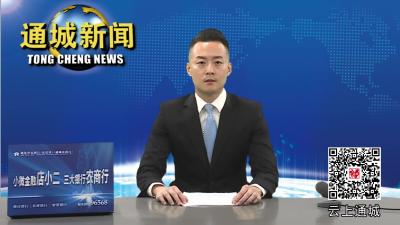 通城县召开全面深化改革委员会第六次会议