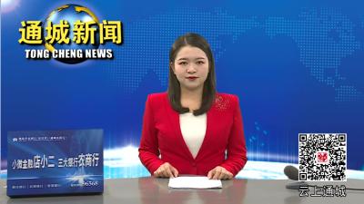 浙江大华来通城考察交流