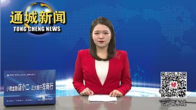 省市场监管局来通城开展安全生产百日整治行动督导工作 