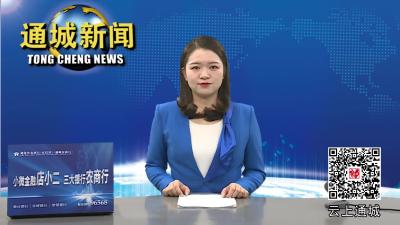 美好家园 你我共建 通城县开展环境整治志愿服务活动 