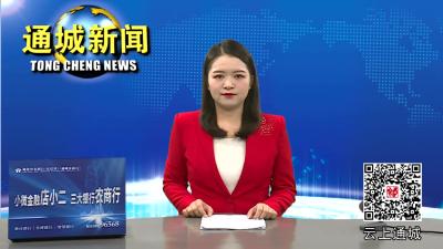 通城县推进鄂湘赣边贸物流产业园项目建设工作