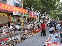 图集｜通城县首届古玩收藏品交流会