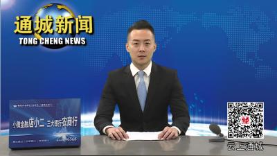 通城县人大常委会调研生态环境保护工作 