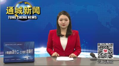 北京寒舍文旅科技集团来通城考察民宿旅游项目 