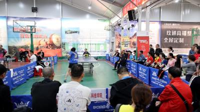 咸宁市第十五届“三赢兴杯”职工乒乓球锦标赛在通城圆满举办