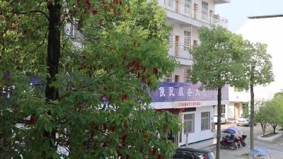 通城开展森林防火监督检查工作 织牢森林防火“安全网” 
