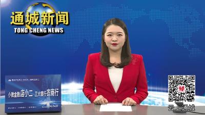 视频-通城县水利和湖泊局：稳步推进重点移民村建设 努力铺筑乡村振兴路  