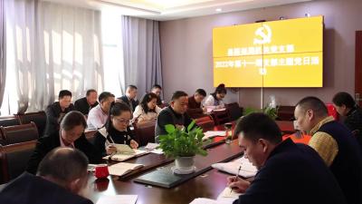 通城县医疗保障局开展2022年第十一期支部主题党日活动 