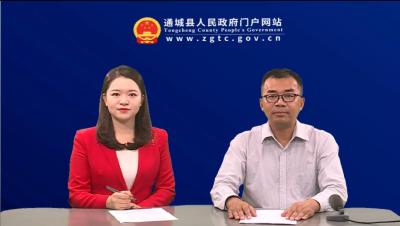 V视-通城县人民政府网站访谈节目-自然资源和规划局