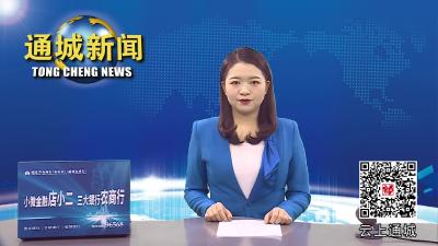 省委第四巡回指导组来通城调研督导美好环境与幸福生活共同缔造活动试点工作