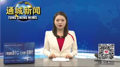 通城县推进“平安咸宁全域提升”“政法单位政法干警群众评”工作 