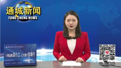 视频-2022年第19次通城县政府常务会召开 