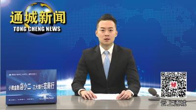通城县领导调研教育项目建设工作 