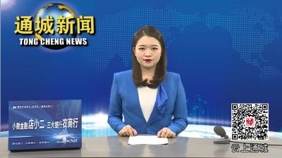 杨修伟到关刀镇调研指导工作