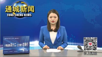 通城督查石南镇、沙堆镇森林防灭火工作