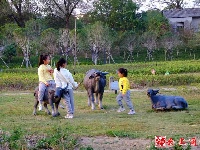 图集｜走进湿地公园