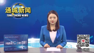 【疫情防控不放松】通城开展城区社会面疫情防控工作宣传及风险排查