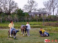 图集｜走进湿地公园