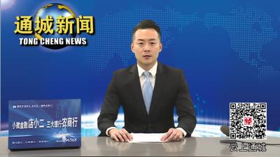 开摘！起榨！通城32万亩油茶喜迎丰收 