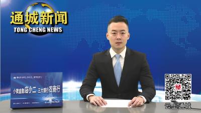视频-刘中英到县信访局接访 