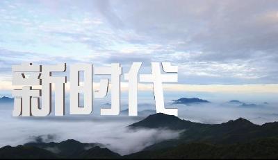 V视丨【我的村在振兴⑤】红色苏区 天然药库 药姑村
