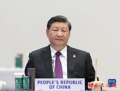 习近平在亚太经合组织第二十九次领导人非正式会议上的讲话