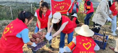 塘湖镇：脱贫户点单 志愿者接单 助农抢收硕果