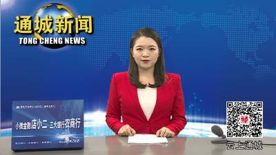 农发行湖北省分行来通城调研油茶产业发展