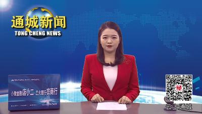 视频-长江商学院企业家学员来通城考察交流
