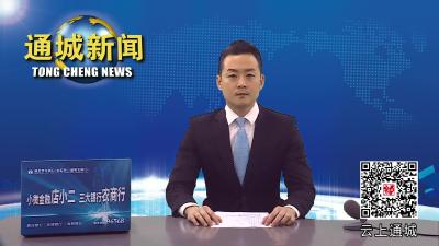 视频-通城县十五届县委常委会第36次会议召开