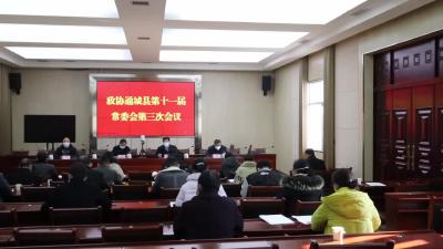 视频-政协通城县第十一届委员会常务委员会第三次会议召开