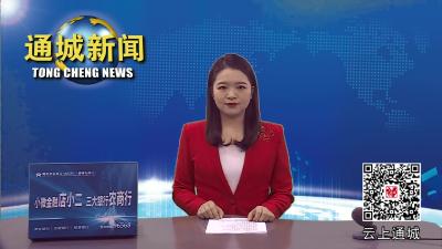 视频-通城县第十九届人大常委会召开第七次会议