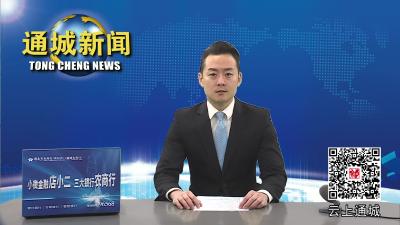 视频-通城县2022年政法干部政治轮训班开班 