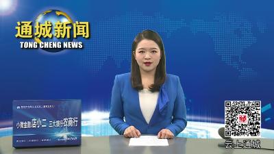 视频-【疫情防控进行时】通城支援崇阳医疗队返隽 
